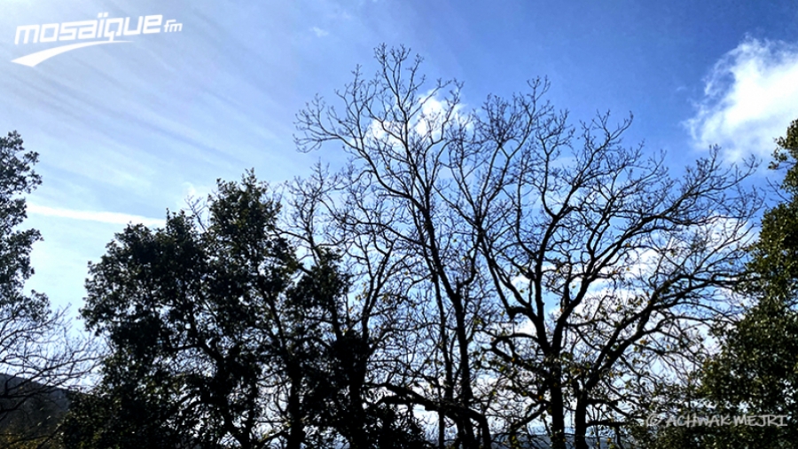 La météo du dimanche 26 mars 2023