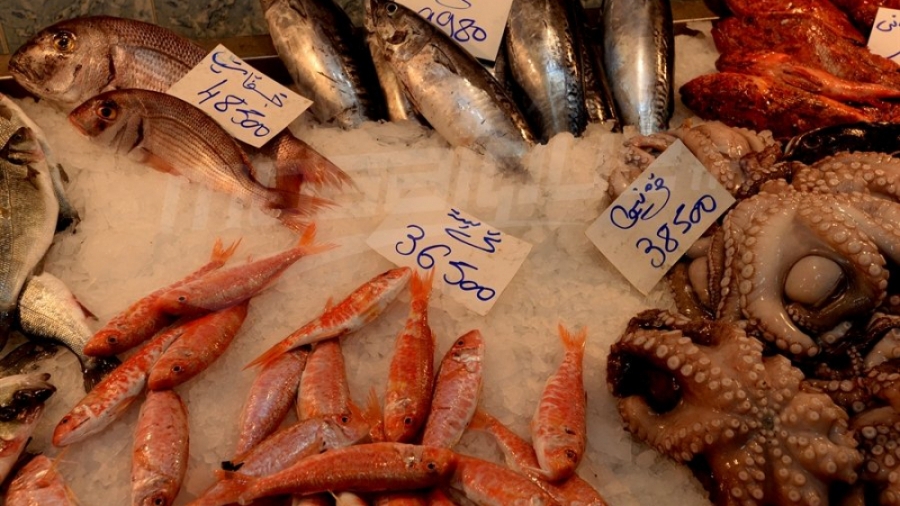 Produits de pêche: La marge de bénéfice plafonnée à 25%  