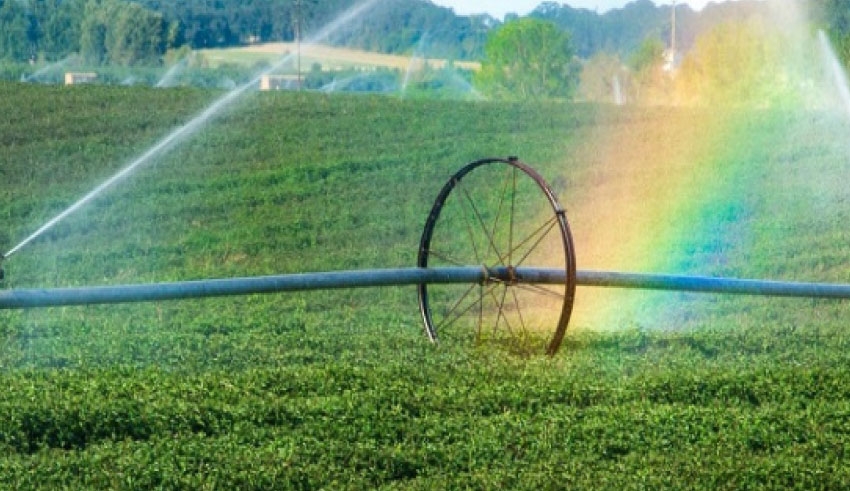 Planification de l’eau: La sécheresse gagne du terrain, les restrictions pour y faire face