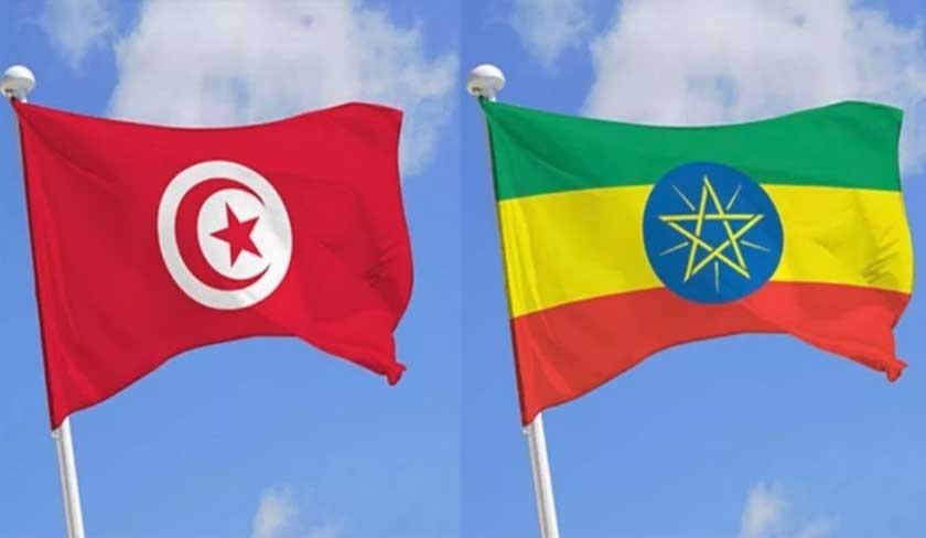 Nabil Ammar speaks with ethiopian counterpart