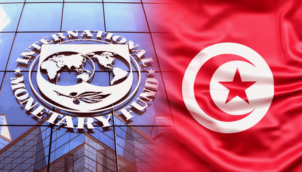 Negotiations with IMF have never been interrupted (Nabil Ammar)