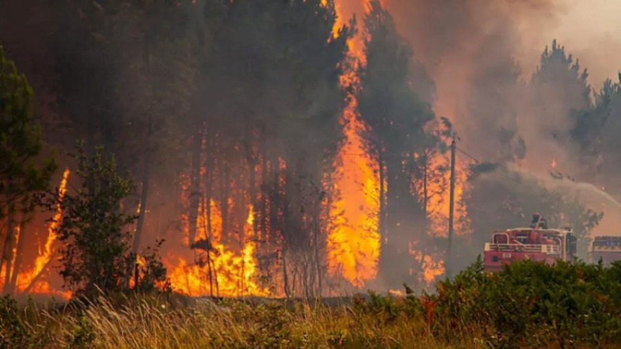 Tunisia-Kairouan: Fire at Mount Krib under control