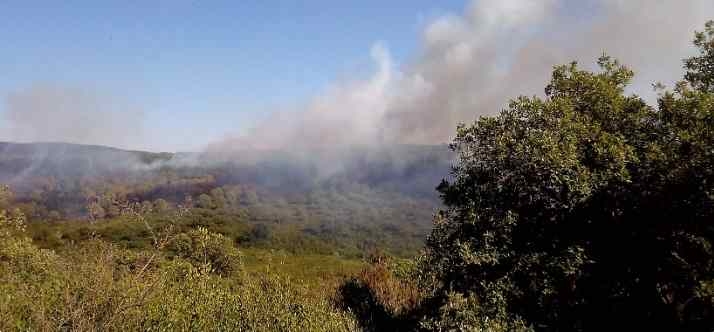 Tunisia – Sejnane: Boubogaâ forest fire under control