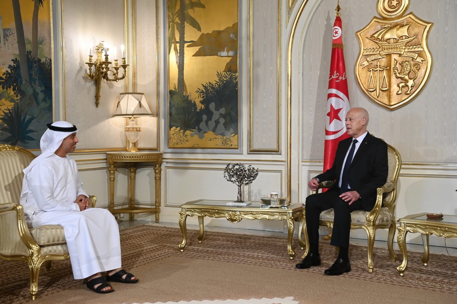 Tunisia-President Saied meets UAE Minister of Education