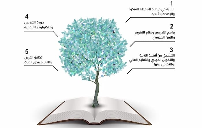 Tunisia-29,794 participants in national consultation on education reform