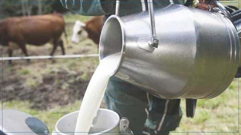 Tunisia-Ministry of Agriculture announces a decrease in milk stocks at the end of July