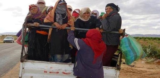 Tunisia-Sidi Bouzid: More than 20 agricultural workers *injured following the skid of truck