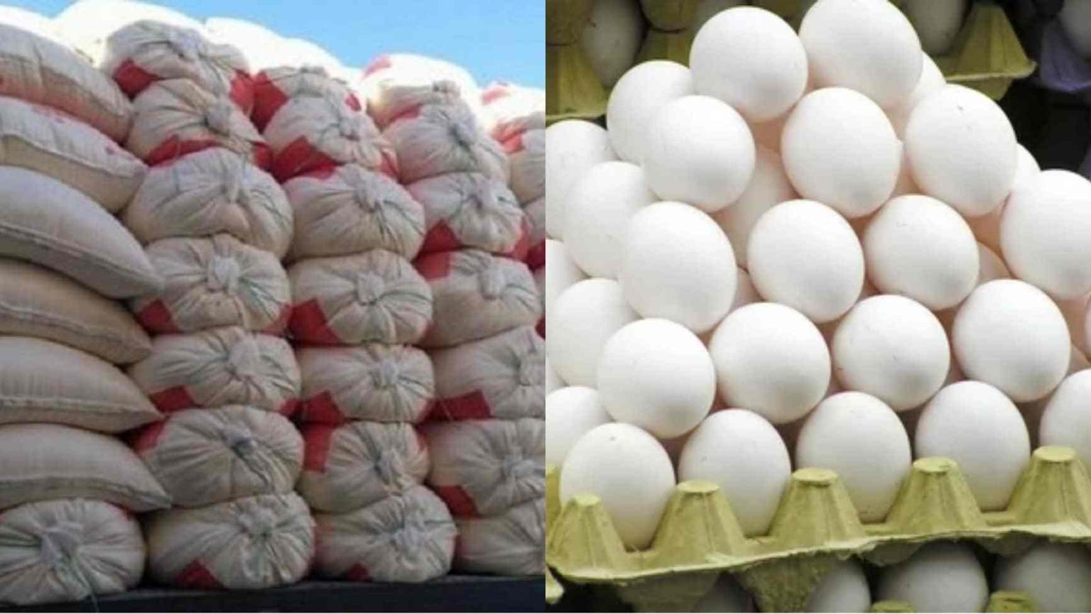 Tunisia-Beja: Seizure of 60 thousand eggs and 350 quintals of semolina