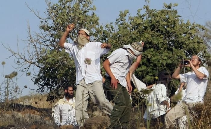 Palestinian territories: France condemns settler attacks