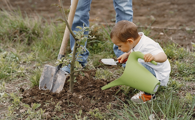 Tunisia: Towards planting of 10,000 trees on occasion of National Tree Day