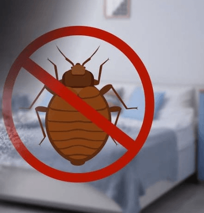 Tunisia-Measures to eradicate bedbugs in Kasserine