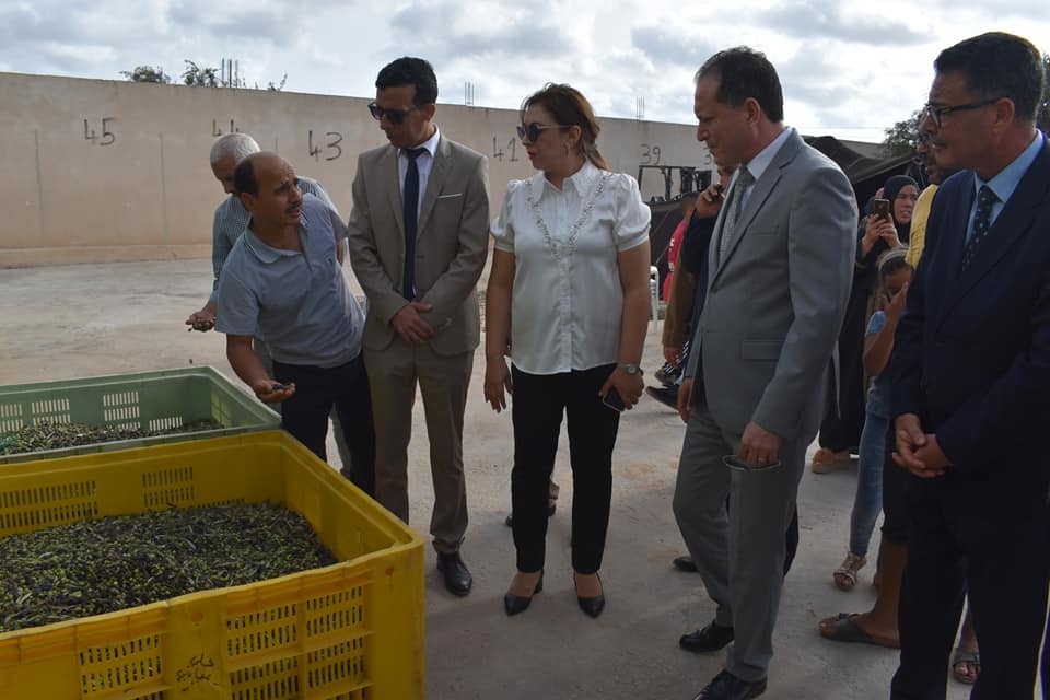 Tunisia-Mahdia: Launch of 2023/2024 olive harvest season