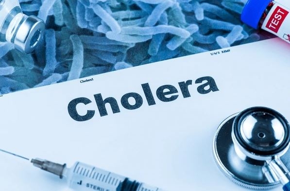 Lack of medicine: Port Sudan faces cholera epidemic