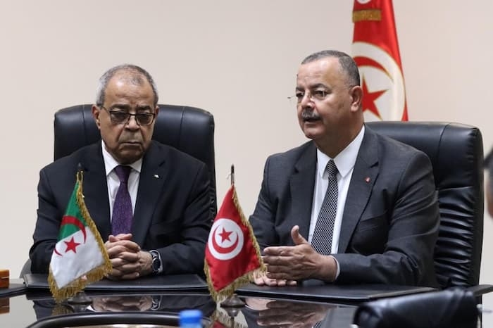 Tunisia-Pharmaceutical industries: Signature of MoU between Tunisia and Algeria