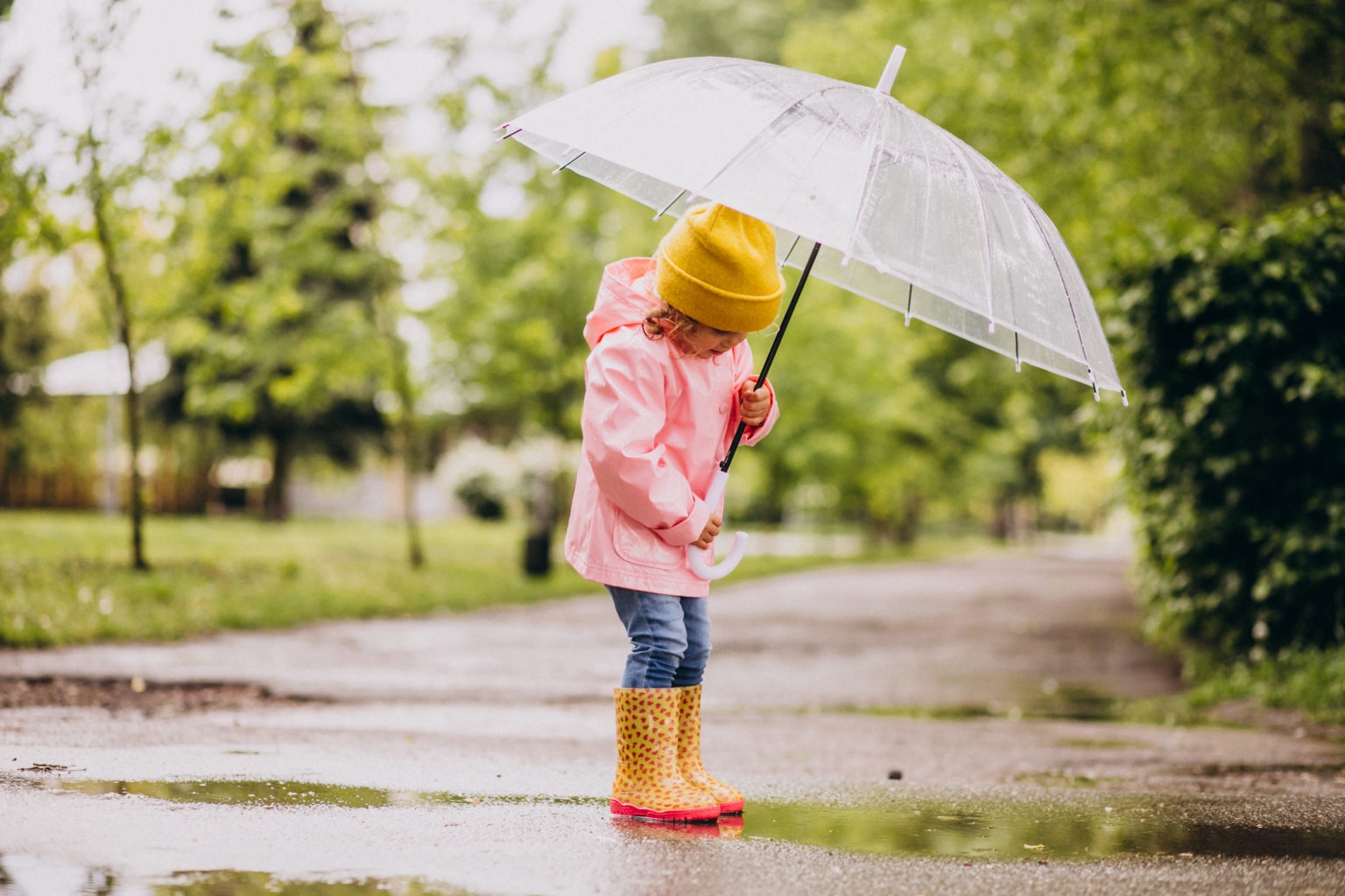 Tunisia-INM: Quantities of rain recorded in millimeters during  24 hours