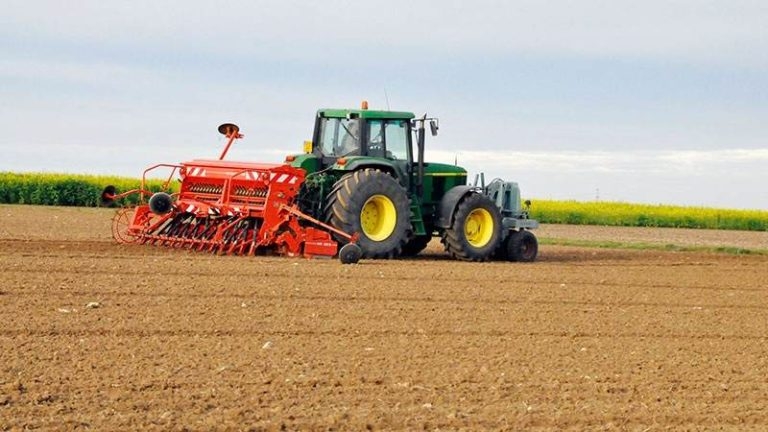 Tunisia-Zaghouan: latest rainfall borne fruit on major crops