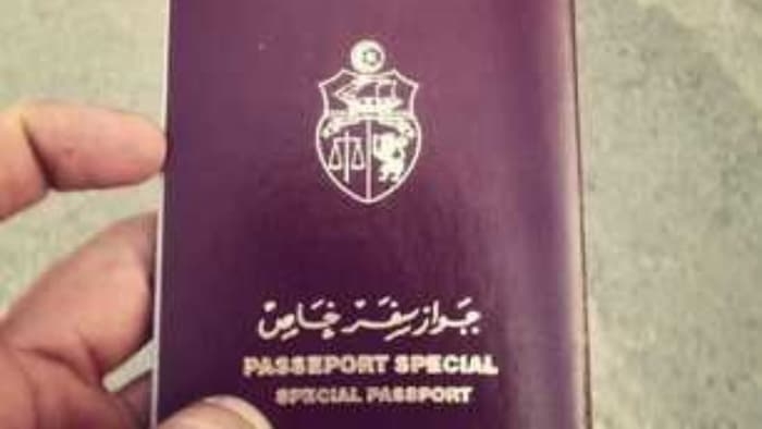 Removal of visa with two countries for holders of diplomatic, service or special passports