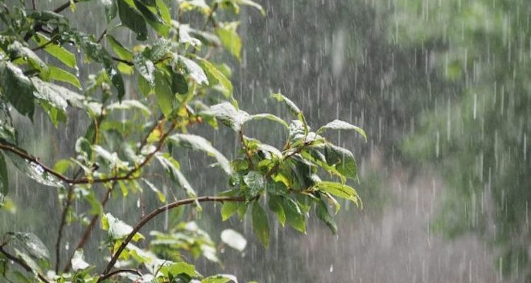 Tunisia-Amounts of rain registered over last 24 hours