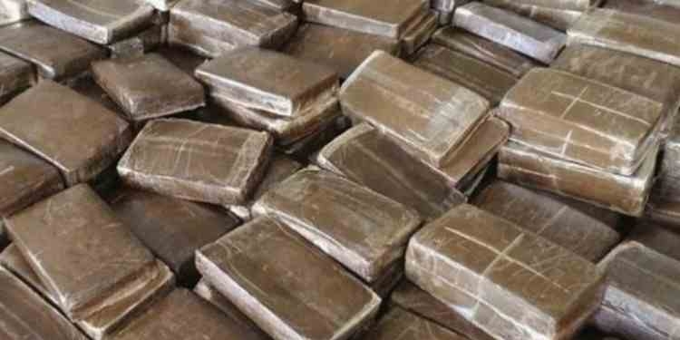 Tunisia-Major seizure of cannabis at Bizerte port: 80 kg intercepted