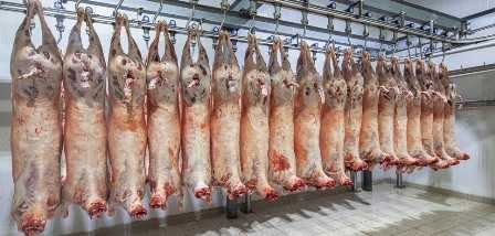 Tunisia – Lamb meat offered at 32 ET per kilo during Ramadan