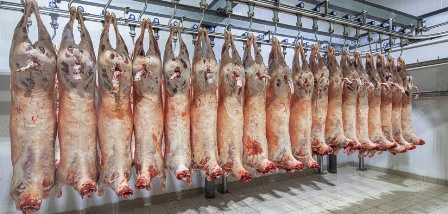 Tunisia – Lamb meat offered at 32 ET per kilo during Ramadan