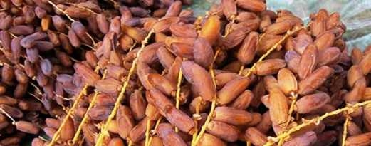 Tunisia-Manouba: Seizure of 17 tons of dates whose value reaches 200 thousand dinars