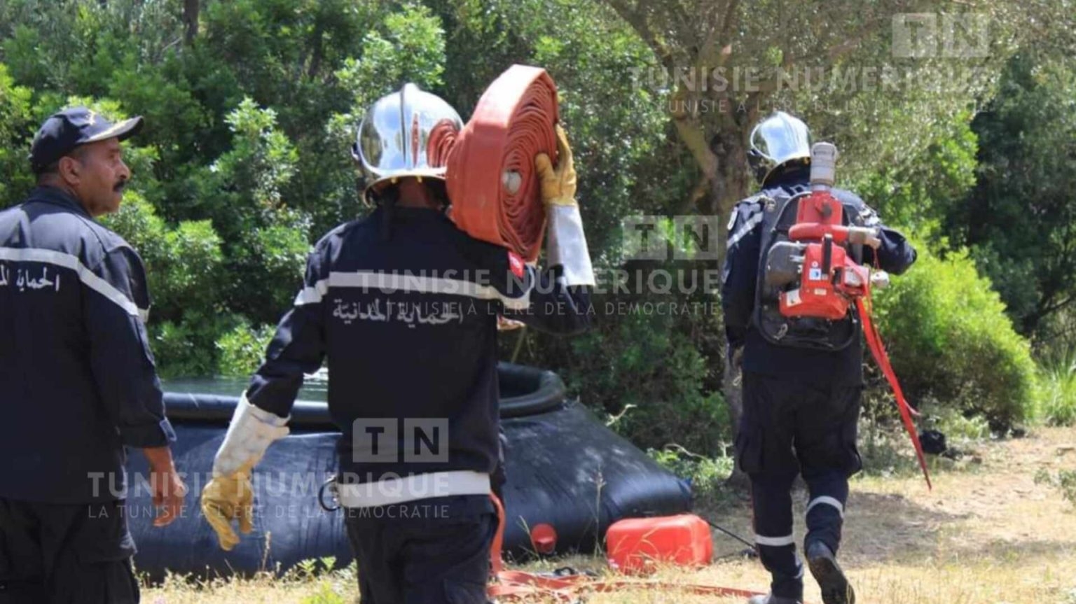 Tunisia-Beja:fire  devastates 100 olive trees