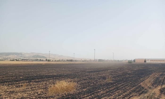 Tunisia- Kef: Three hectares of wheat and barley went up in smoke