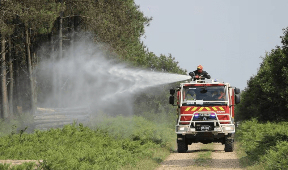 Nefza: fire devastates 5 hectares of forest in Jebel Eddis