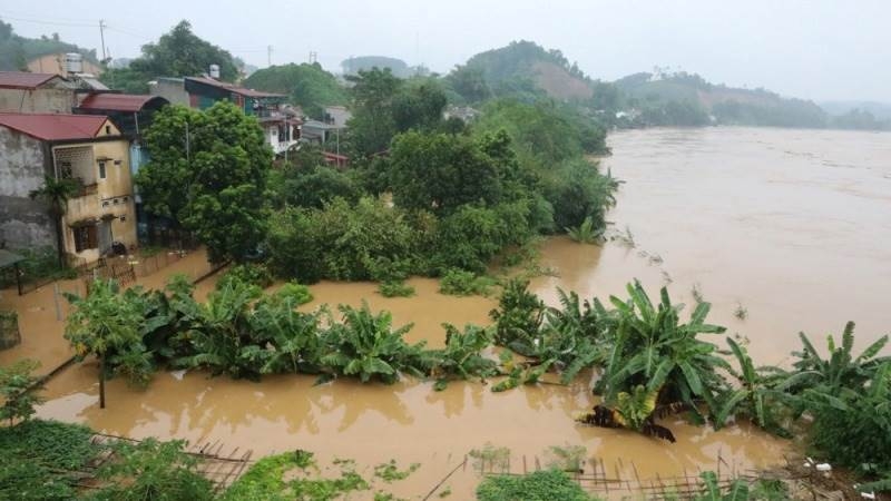 82 reported dead in Vietnam typhoon