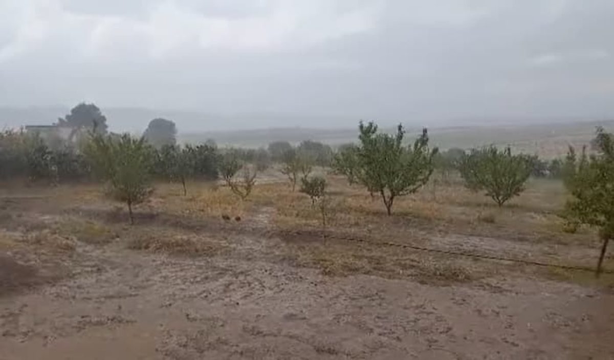 Bad weather: Heavy rains in Kasserine