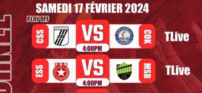 Volley – Nationale A (SG) : programme TV des matches de la J5