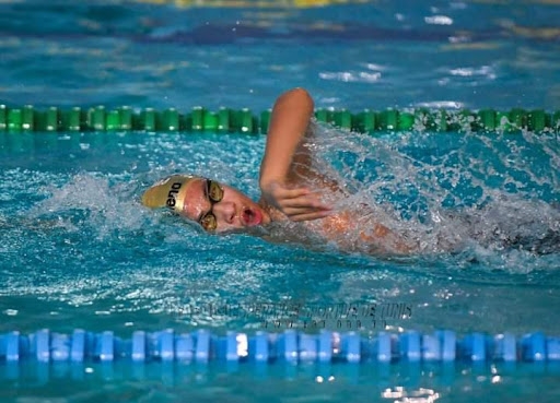Natation : Lancement de la 8e édition du Championnat Open des Maîtres