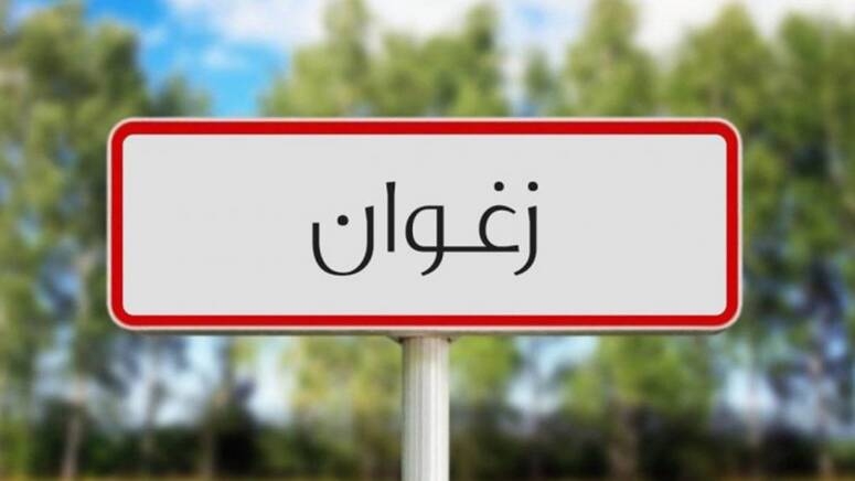 زغوان: الشروع قريبا في إنجاز 3 مشاريع بصواف ضمن القسط الثالث من برنامج التنمية المندمجة (المندوب الجهوي للتنمية)