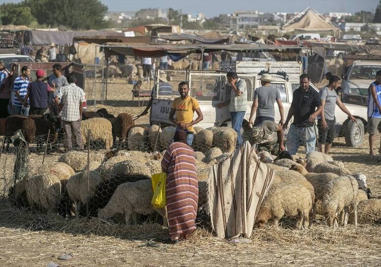 بن عروس: برمحة أكثر من 4000 أضحية بنقطة البيع المراقبة برادس