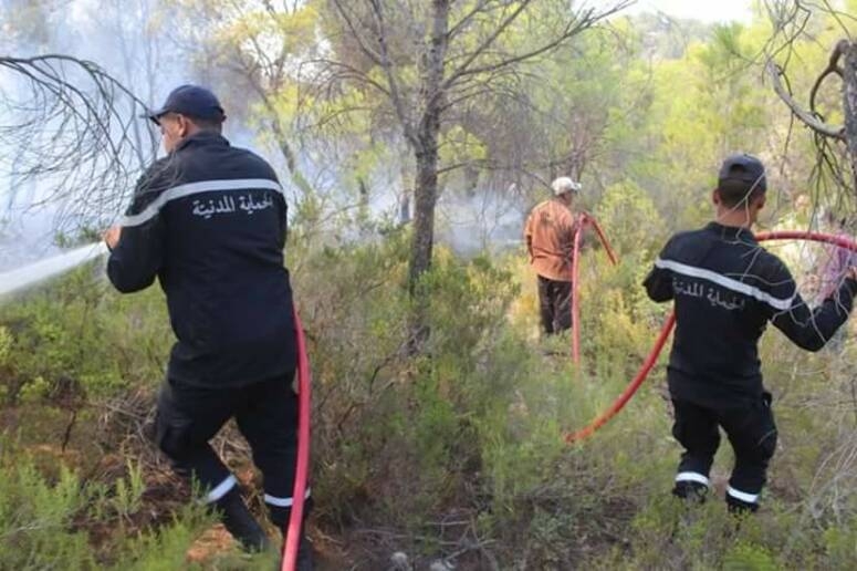 توزر: انخفاض في عدد الحرائق بالواحات مقارنة بالصائفة الفارطة بفضل الاستعدادات المسبقة