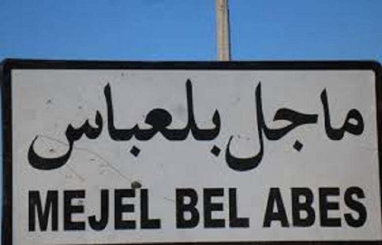 القصرين : الشركة التعاونية للخدمات الفلاحية بماجل بلعباس تصدر اللوز البيولوجي المجفف نحو الإتحاد الأوروبي منذ 2010 (امين مال الشركة)