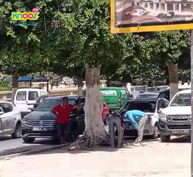 سوسة.. ادراج صاحب بناية بالتّفتيش اثر محاولة قطع شجرة من الملك العمومي