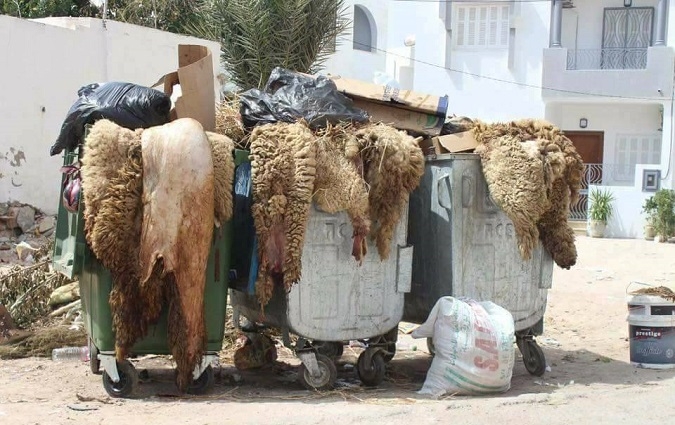 La municipalité de Tunis se dote d'un programme spécial à la collecte des déchets de l'Aïd