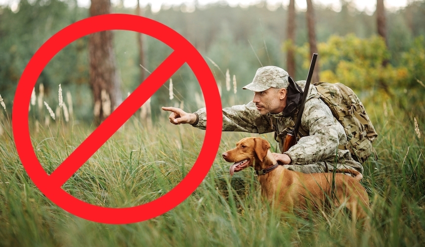 Pas de chasse dimanche à l'Ariana et Bizerte