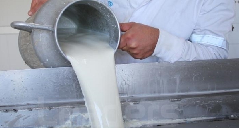 Crise du lait, l'Utap alerte sur l'effondrement du système de production