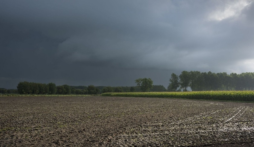 Fortes pluies : les mises en garde du ministère de l'Agriculture