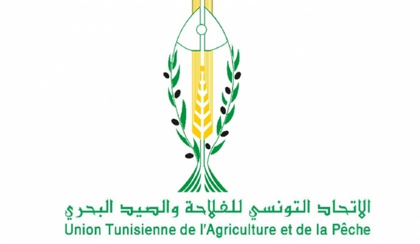 Mohamed Chouikhi (Utap) : il faut accorder des subventions aux agriculteurs pour sauver l'écosystème