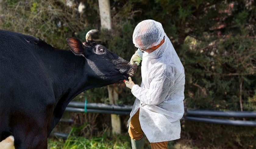 Révision du montant de la rémunération allouée au mandat sanitaire