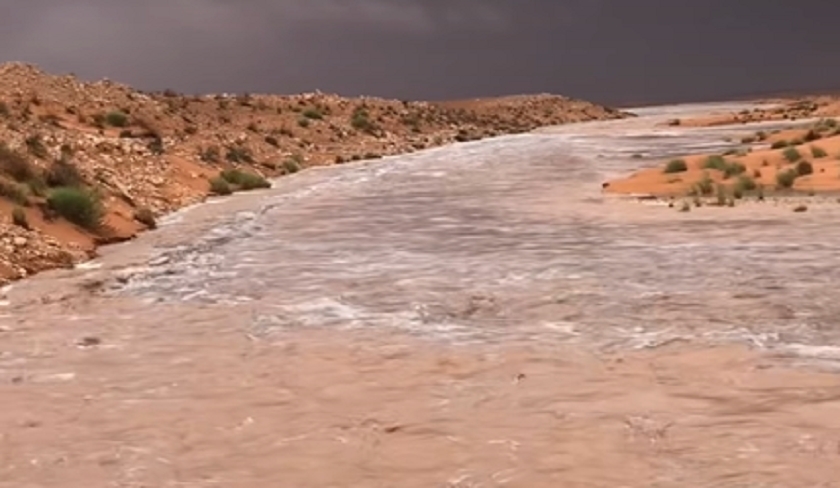 Vidéo ' L'eau qui coule au Sahara émerveille les internautes