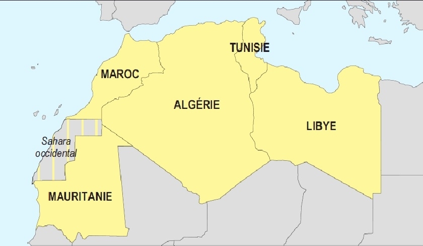 Une nouvelle coalition nord-africaine qui exclut le Maroc et admet le Sahara occidental : qu'en est-il '