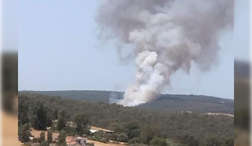 Protection civile : incendie maîtrisé à Sejnane