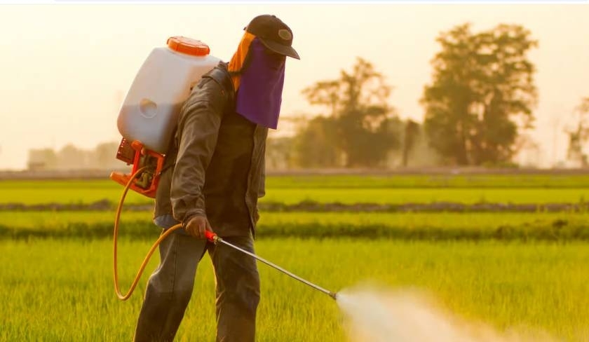 Maidani Dhaoui : les agriculteurs tunisiens n'ont pas de substitut à certains pesticides dangereux