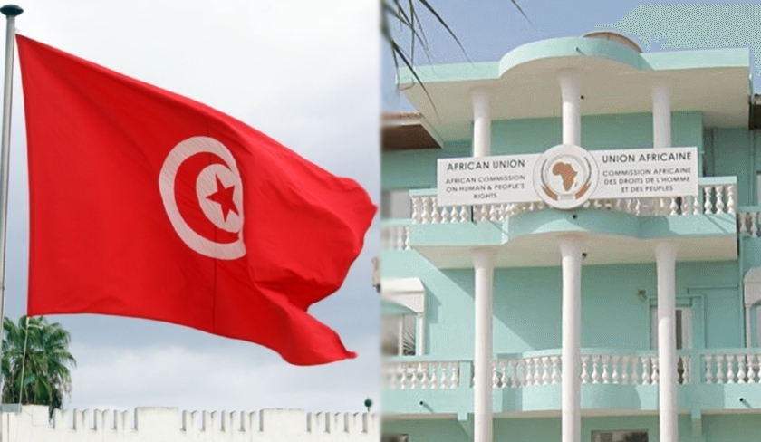 Affaire de complot, détention d'Ahmed Souab : la CADHP interpelle les autorités tunisiennes