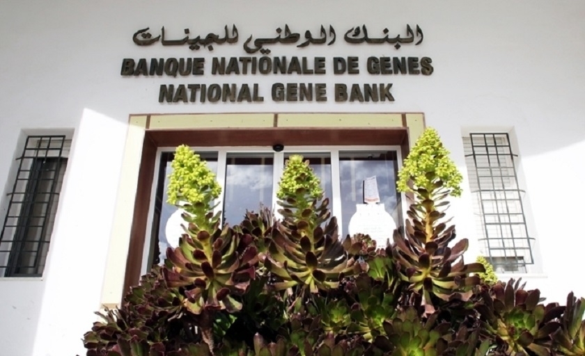 Mohamed Ali Ben Tmessek nommé directeur général de la Banque nationale des gènes